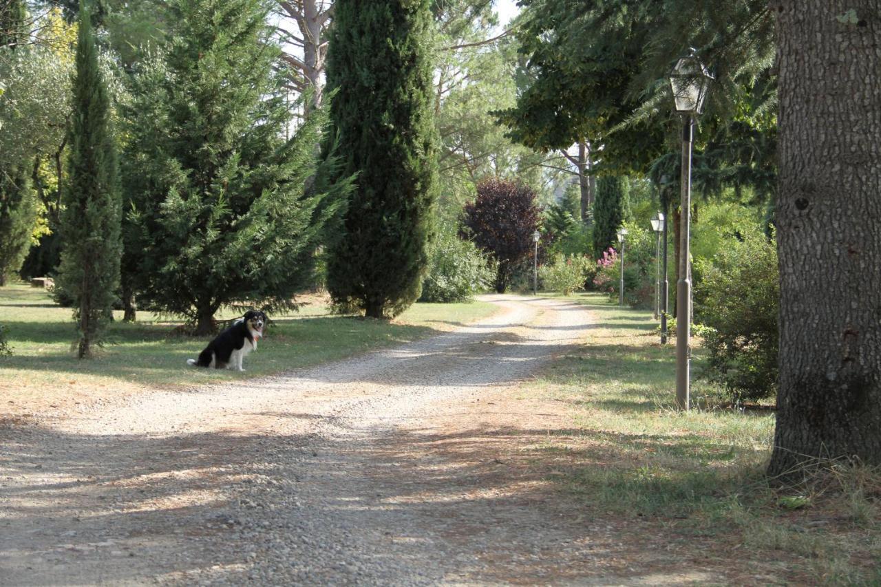 Villa Rigacci Hotel Reggello Kültér fotó